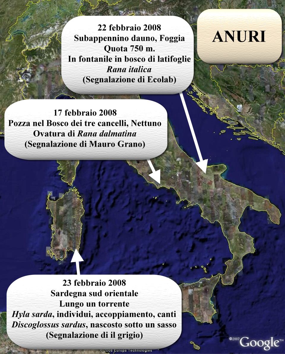 Avvistati Anfibi? Dove? Quando?